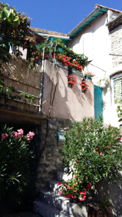 Bed and Breakfast Les Hibiscus Saint-Jean-le-Centenier Esterno foto